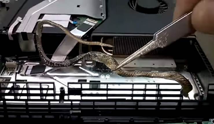 Snake? SNAAAAAAKE!