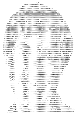wololo.net