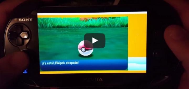 How Are These People Running 3ds And Wii U Games On Their Ps Vita Wololo Net